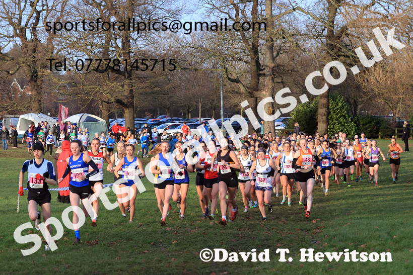 Senior Womens 2025 North Eastern Champs. Photo: David T. Hewiton/Sports for All Pics